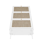 Modern Rattan 3 Door Shoe Rack Cabinet for Entryway