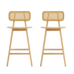 Bari Indoor Wood Barstool (Set of 2)