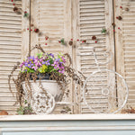 Rustic Bicycle Metal Wire Wall Planter Basket