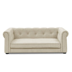 Modern Elegant Rectangle Elevated Pet Bed