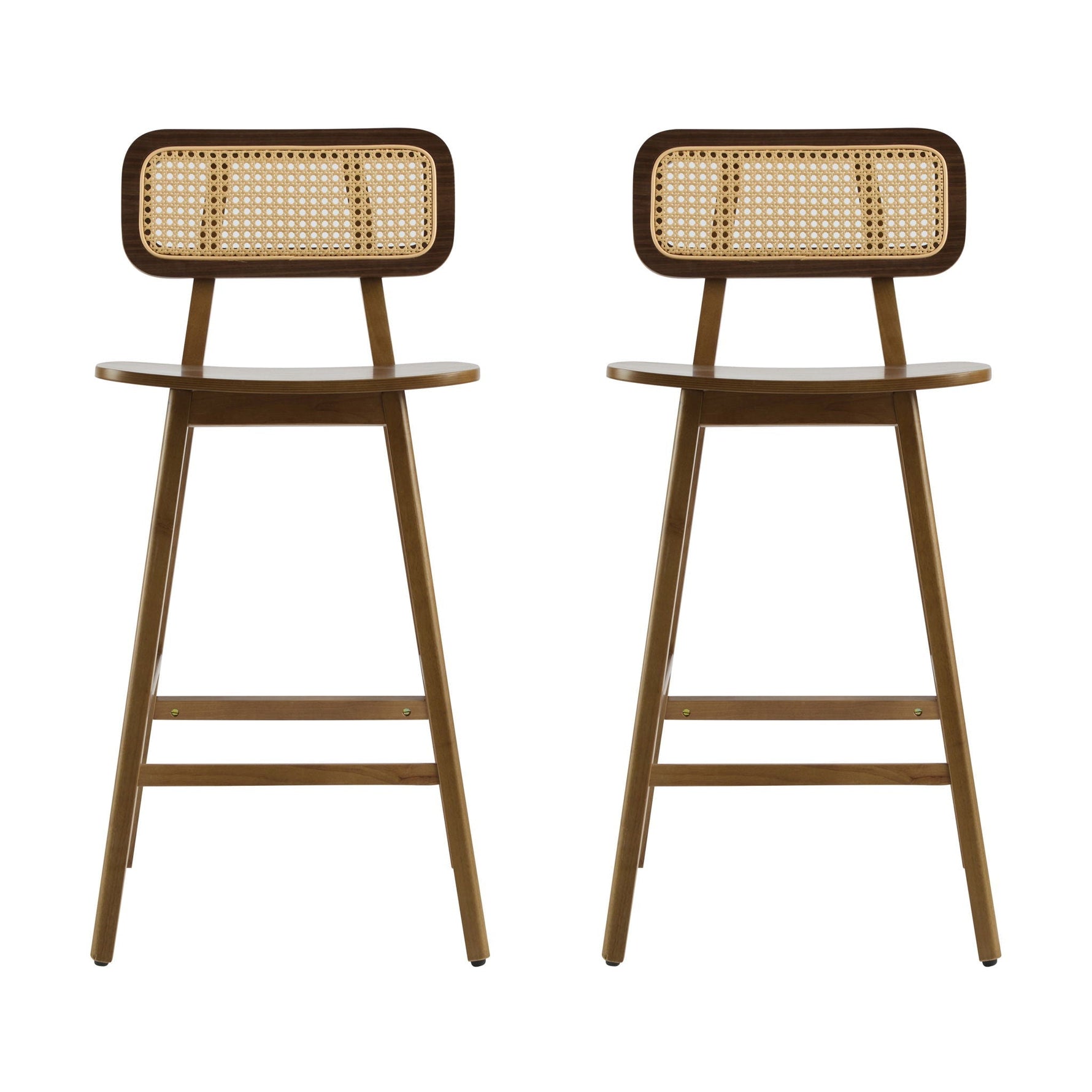 Bari Indoor Wood Barstool (Set of 2)