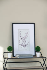 Verdura Botanica: Four-Print Houseplant Pencil Art Set