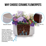 2 Pieces Ceramic Flowerpot Set, Milk White