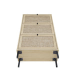 Modern Rattan 3 Door Shoe Rack Cabinet for Entryway