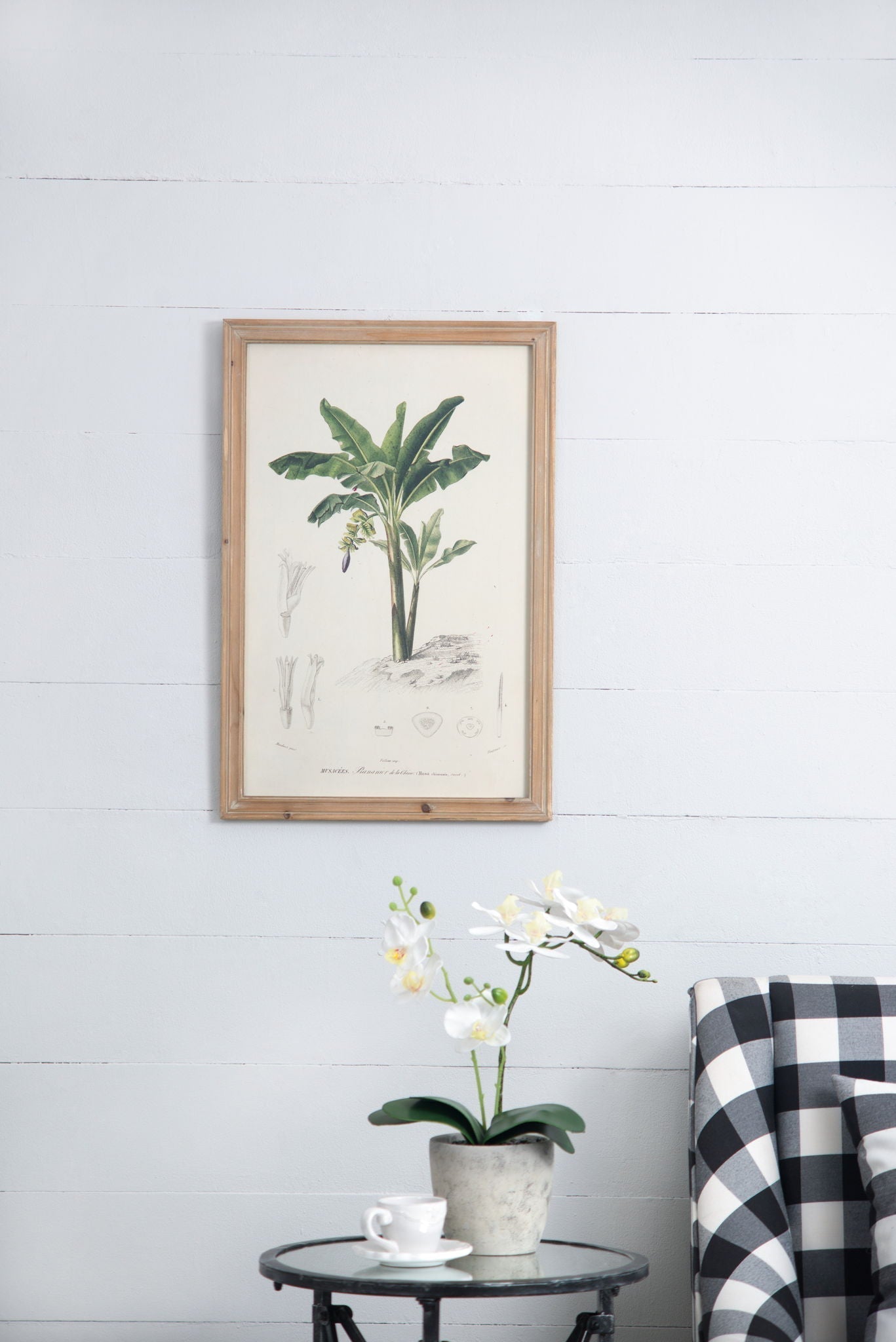 Tree Framed Print Set of 2 - Multicolor Botanical Wall Art