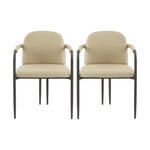 Modern Dining Chair Set of 2 with Iron Frame - Espresso / Khaki