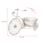 Rustic Bicycle Metal Wire Wall Planter Basket