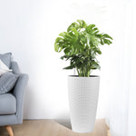 Set of 2 Faux Rattan Tall Planters with Automatic Watering System