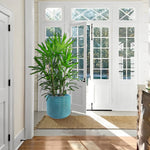 Versatile Flowerpot Planter for Patio, Garden, and Windowsill