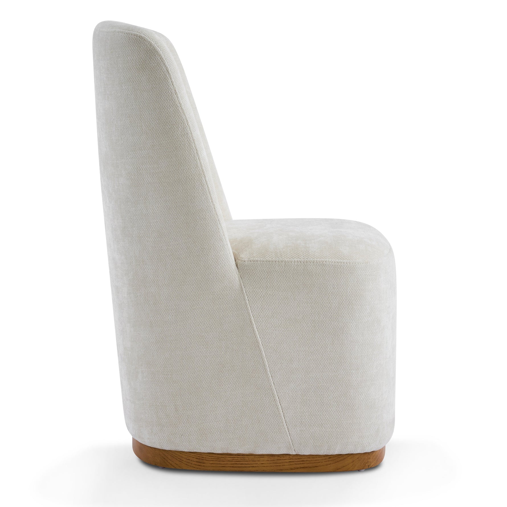 Modern Indoor Dining Chair Set of 2