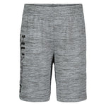 Boys 4-7 Under Armour Prototype Wordmark Shorts, Boy's, Dark Grey