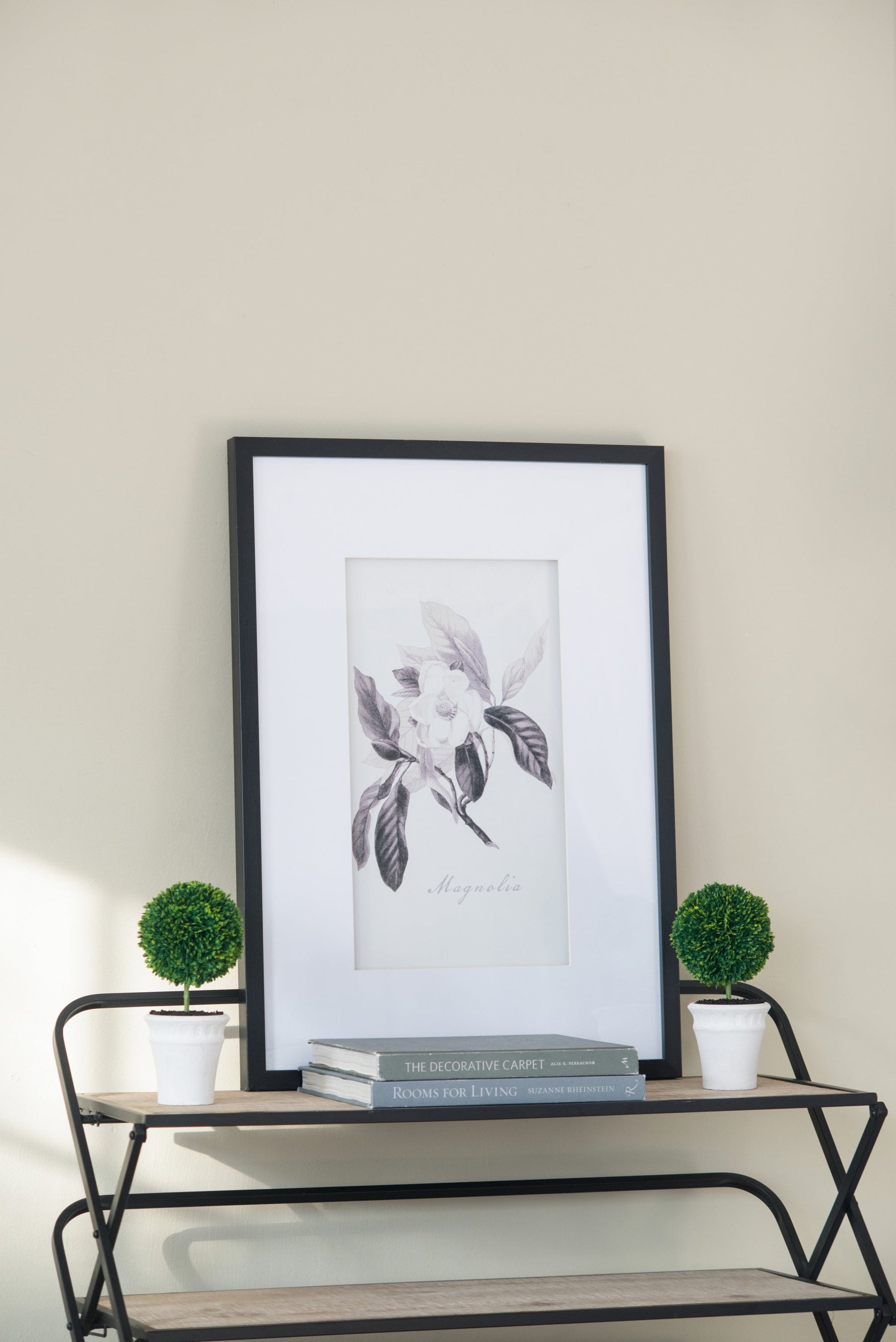 Verdura Botanica: Four-Print Houseplant Pencil Art Set