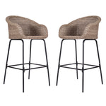Ladd Outdoor Metal Wicker Barstool Set of 2