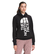 The North Face Trivert Pullover Hoodie - Small