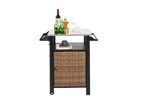 Single Door Outdoor Bar Cart with Stainless Steel Tabletop