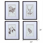 Verdura Botanica: Four-Print Houseplant Pencil Art Set