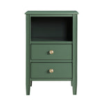 Winston 2-Drawer Storage Nightstand in Vintage Green