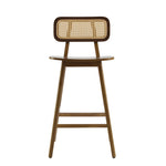 Bari Indoor Wood Barstool (Set of 2)