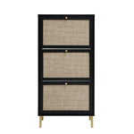 Modern Rattan 3 Door Shoe Rack Cabinet for Entryway