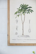 Tree Framed Print Set of 2 - Multicolor Botanical Wall Art