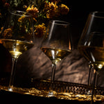 Barcelona Acrylic Stemmed Wine Glassware, Set of 4