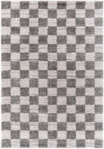 Belita Charcoal Luxe Shag Area Rug