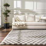 Kieu Taupe Checkered Plush Rug