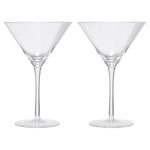 Spritz Martini Cocktail Glassware, Set of 2