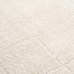 Koume Ivory Area Rug