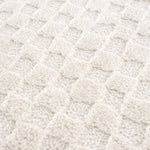 Leryn Ivory Checkered Area Rug