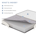 Kate 8" Twin Mattress by Modway