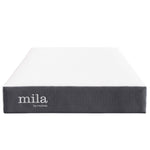 Mila 8" Twin Mattress by Modway