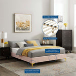 Sutton Performance Velvet Queen Bed Frame by Modway