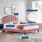 Daisy Performance Velvet Queen Platform Bed by Modway