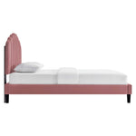 Daisy Performance Velvet Queen Platform Bed by Modway
