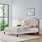 Daisy Performance Velvet Queen Platform Bed by Modway