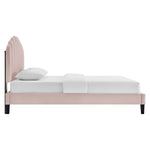 Daisy Performance Velvet Queen Platform Bed by Modway