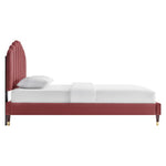 Daisy Performance Velvet Queen Platform Bed by Modway