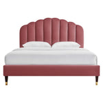 Daisy Performance Velvet Queen Platform Bed by Modway