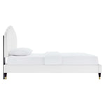 Daisy Performance Velvet Queen Platform Bed by Modway