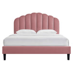 Daisy Performance Velvet Twin Platform Bed by Modway