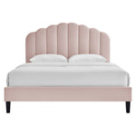 Daisy Performance Velvet Twin Platform Bed by Modway