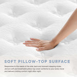 Jenna 12" Innerspring and Foam California King Mattress by Modway