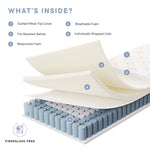 Jenna 6" Innerspring and Foam Twin Mattress by Modway