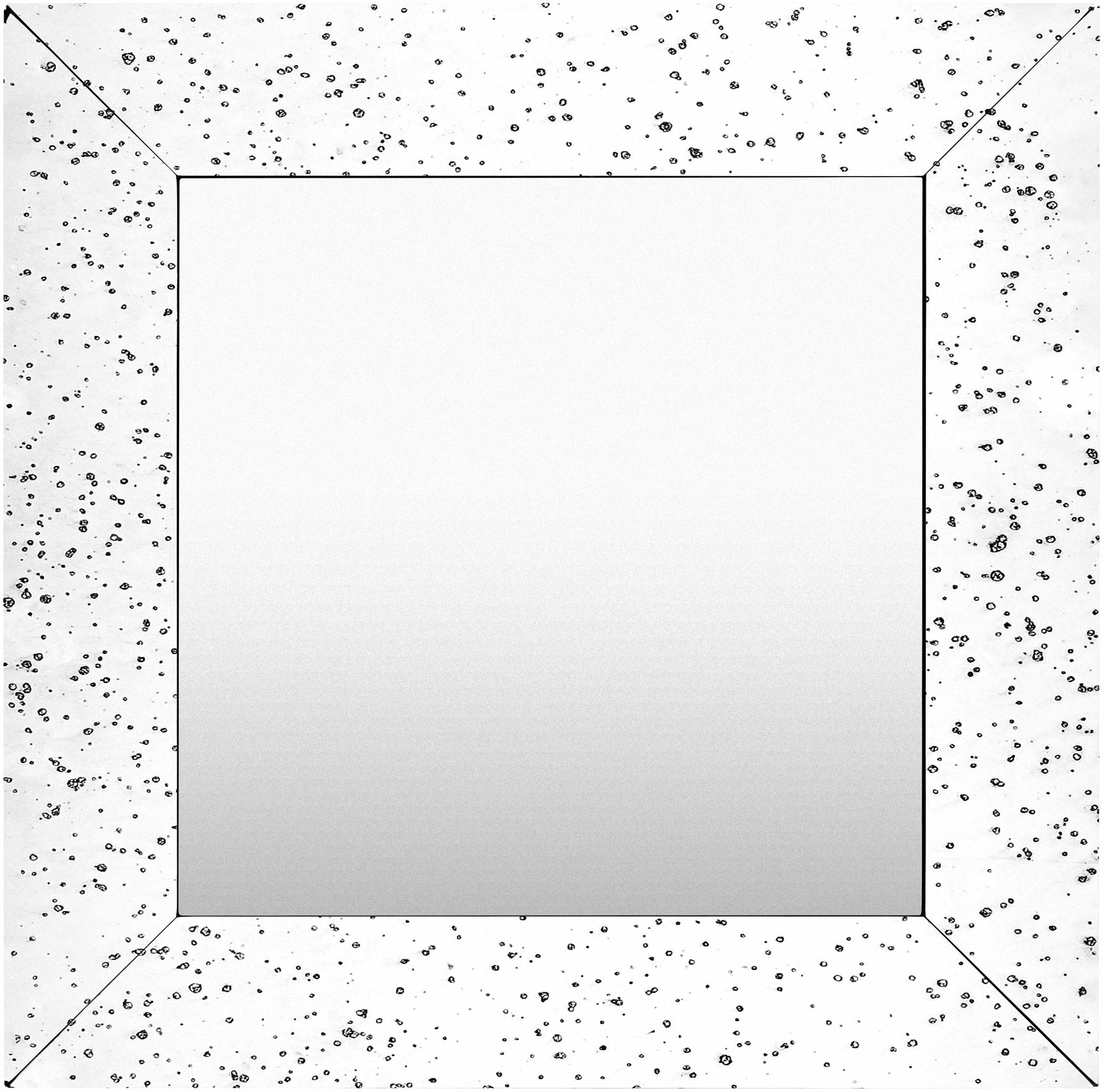 Papine Mirror - Clearance