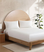 Premium Lumière Fitted Sheet