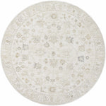 Sashi Ivory Luxe Area Rug - Clearance