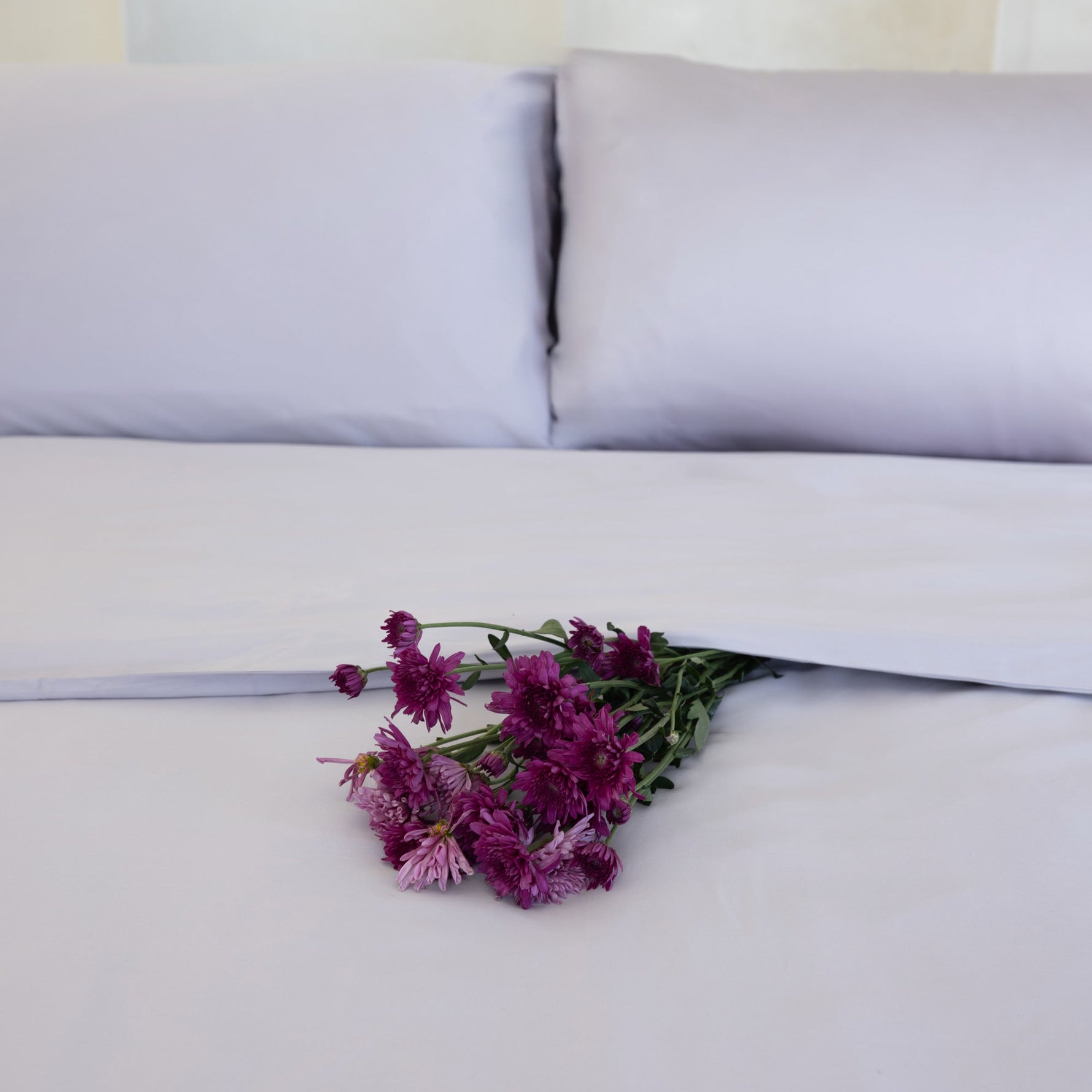 Organic Bamboo Sateen Bed Sheet Set