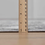 Speaks Traditional Textured Luxe Rug