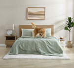 Snug + Lumière Sham Set